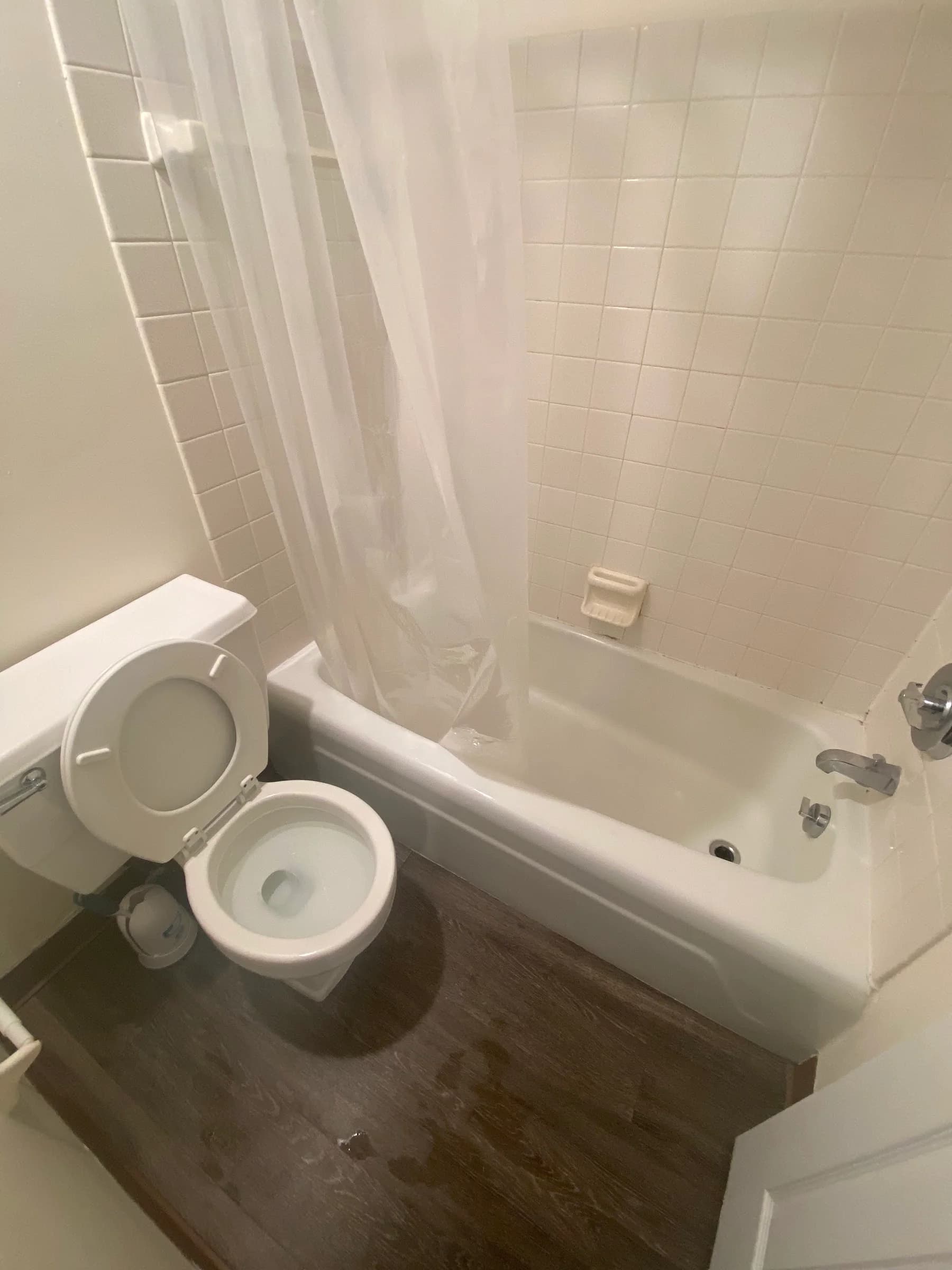 Bathroom restored to spotless during a whole-home deep clean near Vandercook Lake