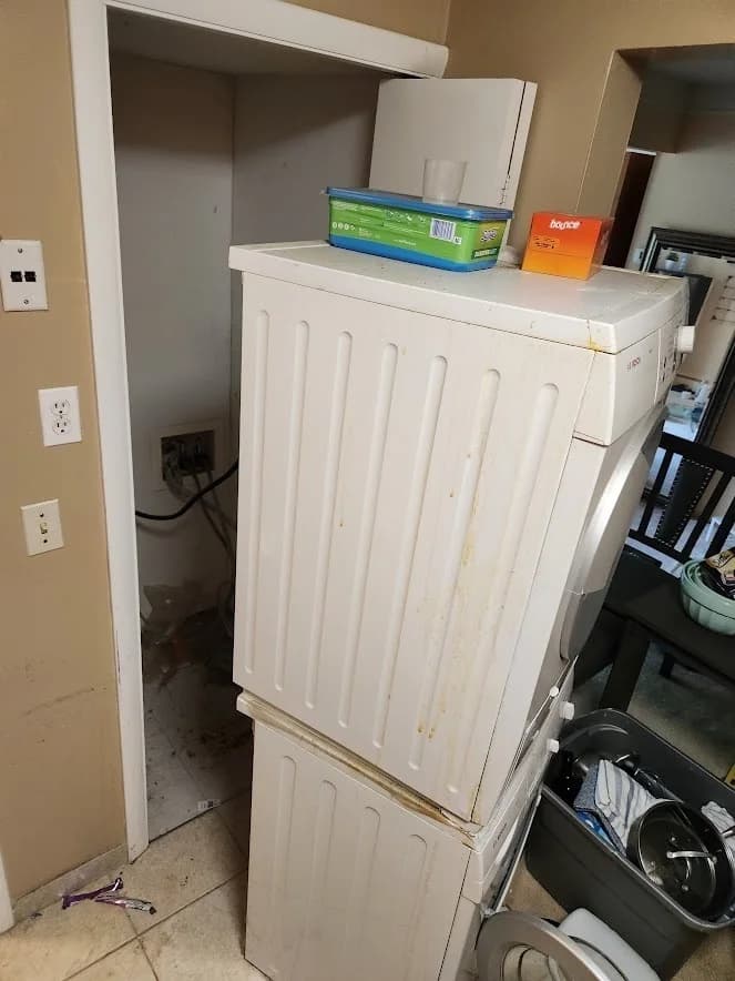 Laundry room cleaned to the hinges during a Rives Junction whole-home service