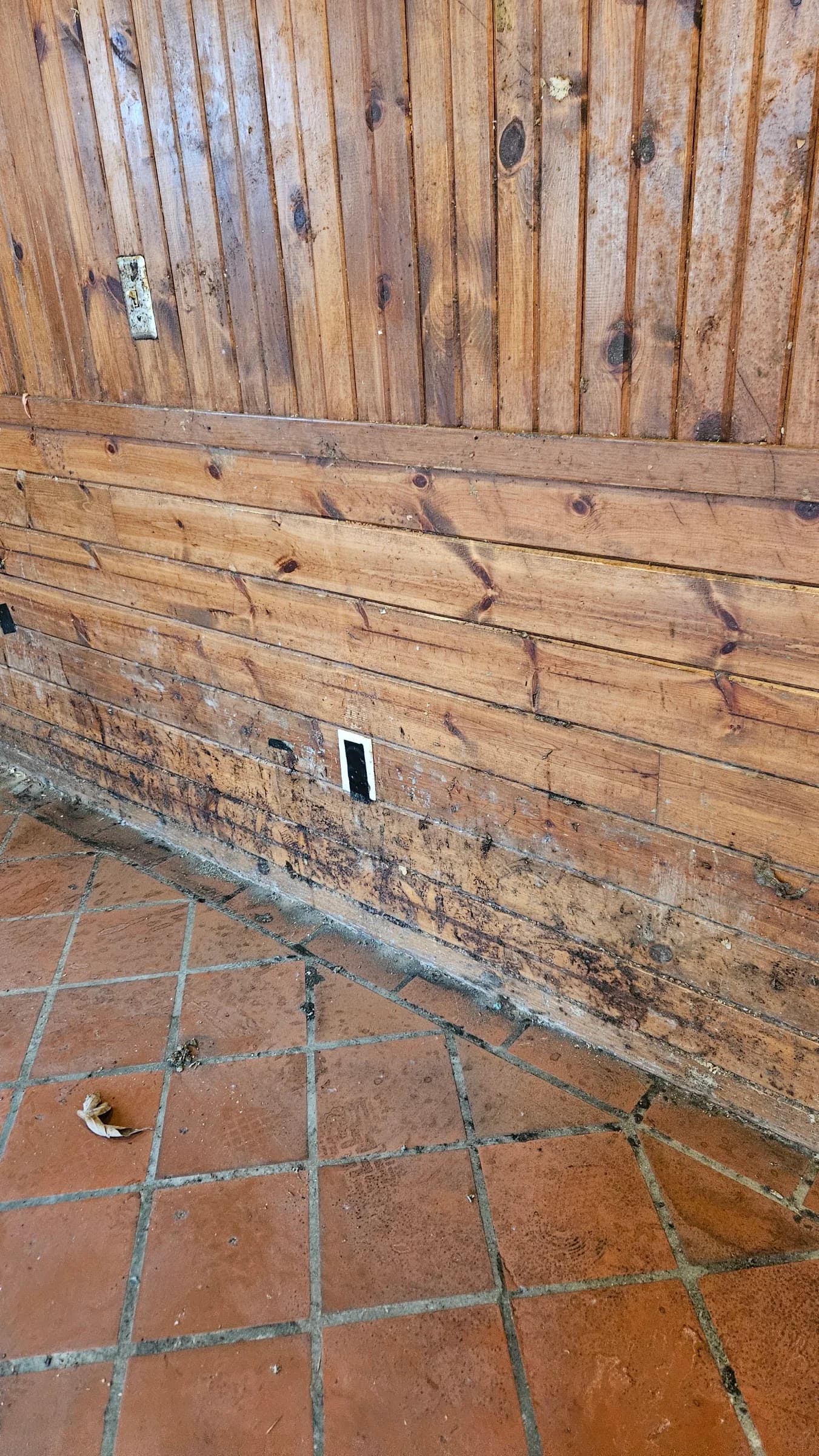 Restored tile floor against original knotty pine paneling